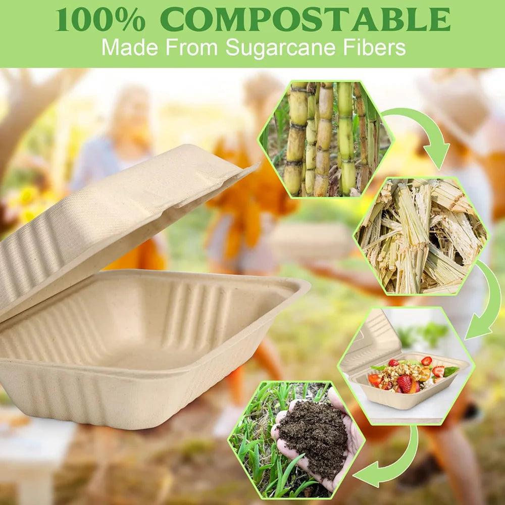 9 x 6 Clamshell Take Out Food Containers Disposable To Go Containers, Compostable To Go Boxes, Biodegradable Food Containers